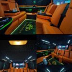 vip15