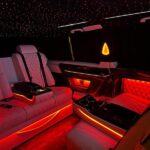 vip2